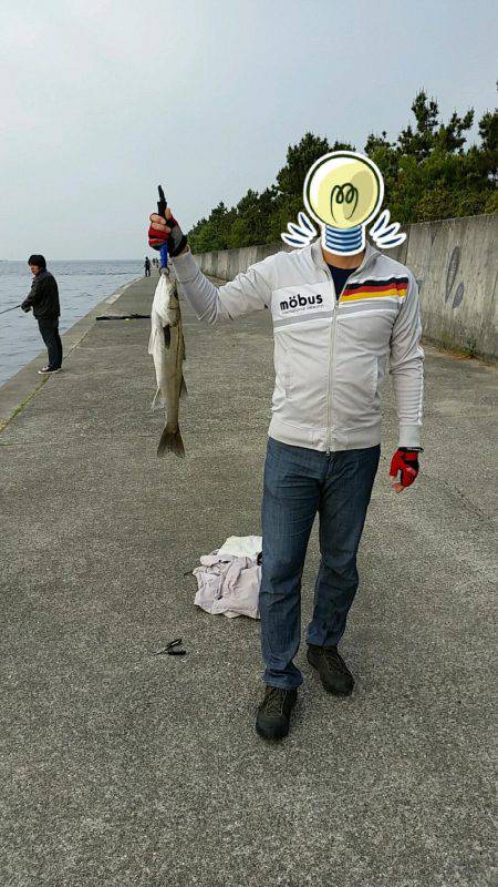 早朝シーバス釣行。底からの巻き上げで1ゲット。